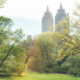 Central Park II