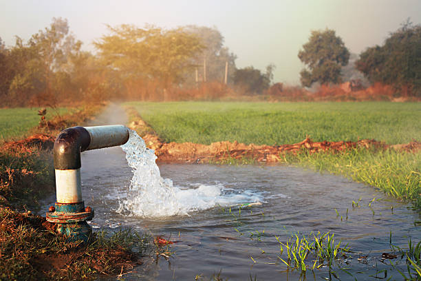 Water Supply