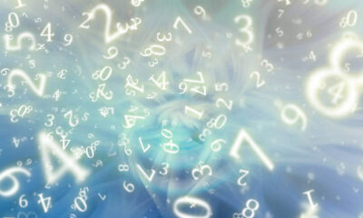 Which Numerology Number Is Best for Business Success?