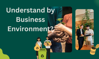 Understand by Business Environment?