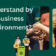 Understand by Business Environment?