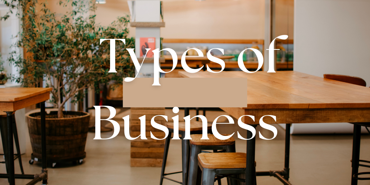 Types of Business