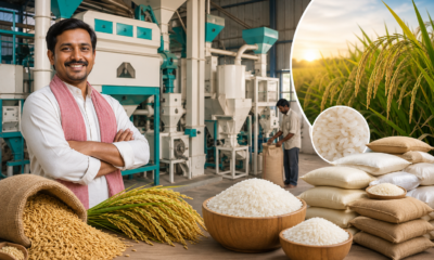 Rice Mill Business