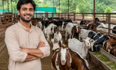 Goat Farming Business Plan