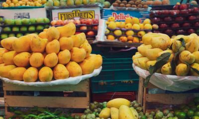 Mango Business