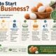 How to Start Egg Business